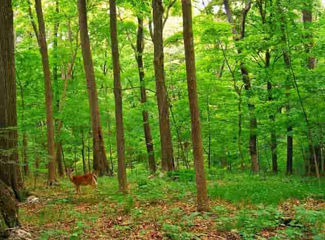 中国铁建·湘语梅溪|冬日暖心礼，缤纷过圣诞！