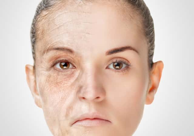 摩尔庄园手游每天