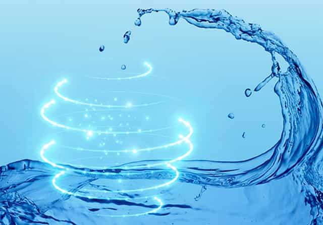 摩尔庄园手游每天