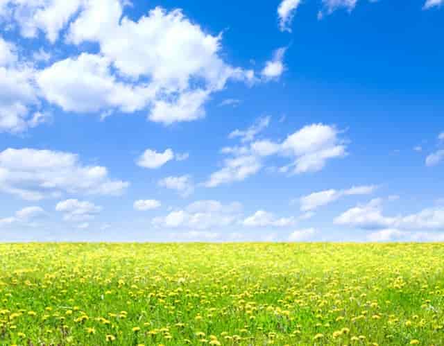 天气预报雷电是有雨吗