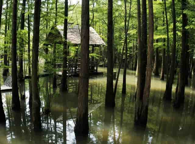 电视剧我的室友免费(我的奇妙室友 电视剧)