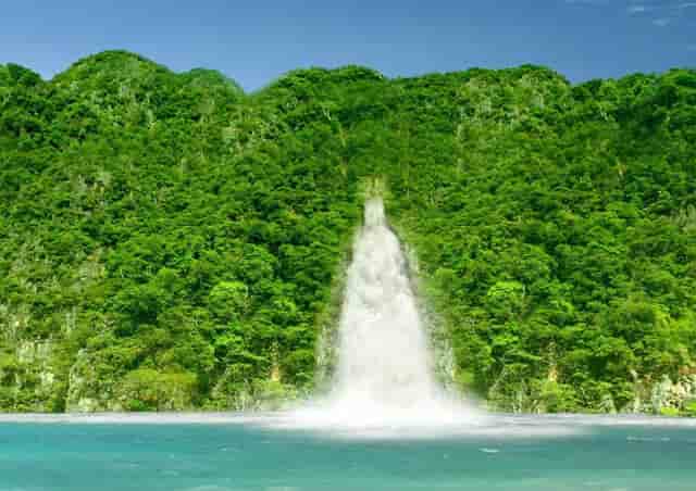 金鱼嘴唇上边发白