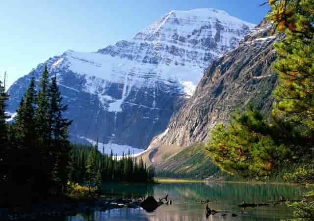 包头传销是组织如何拉人留人？