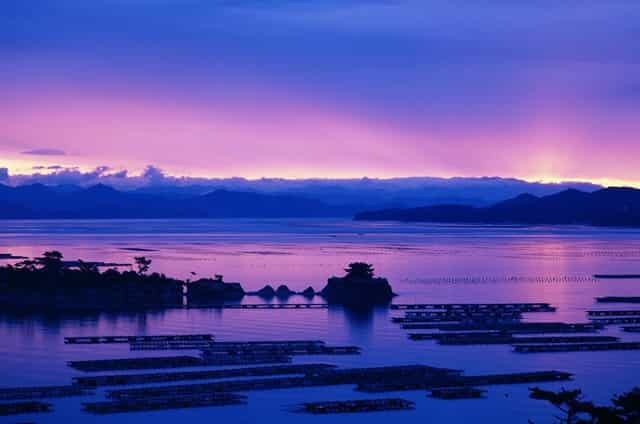 长沙云翼培训学校获喜报，高考小语种助你走进名校大门！