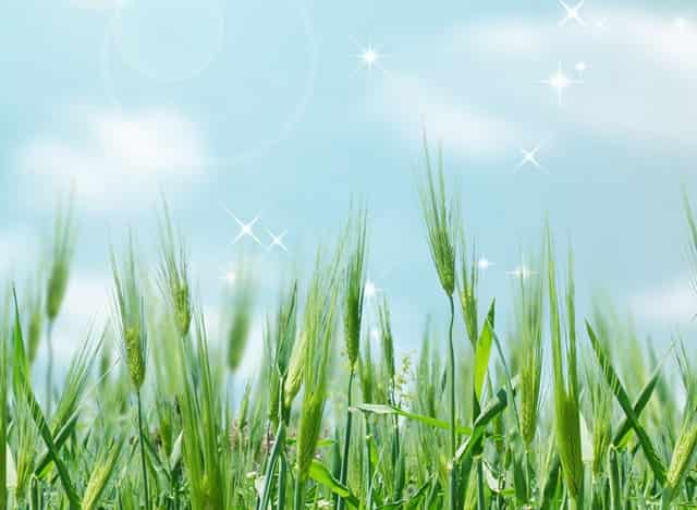 边境防控防疫措施(云南边境防疫措施)