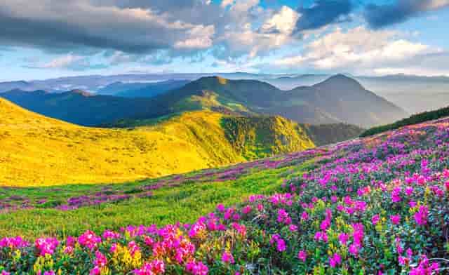 福建惠安石雕:1600年历史的非物质文化遗产