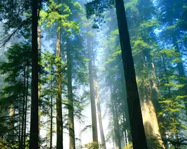 卡宴后排空调在哪(保时捷卡宴后排空调怎么解锁)