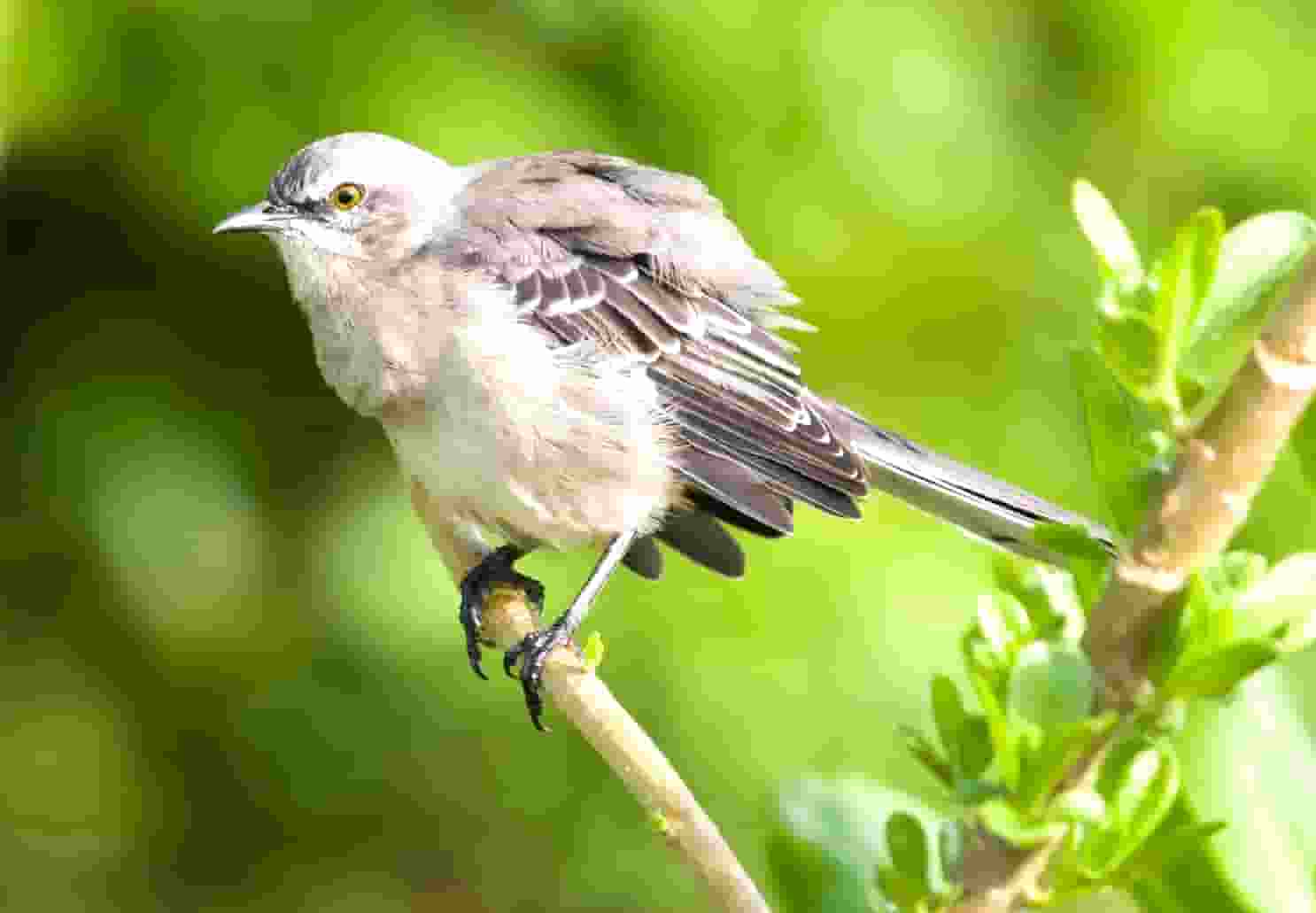 杏仁优护：老年人如何预防消化性疾病？