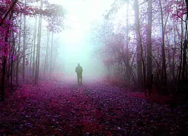 狗狗眼睛红红，袖虎知道得了什么病！