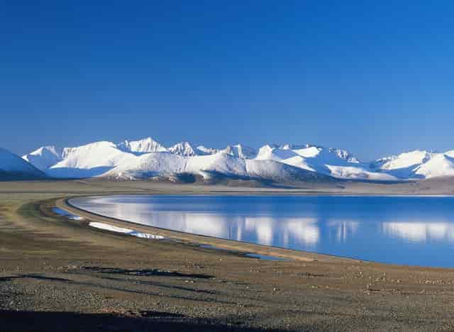 袖虎病狗攻略：不让碰爪爪？小心这是病