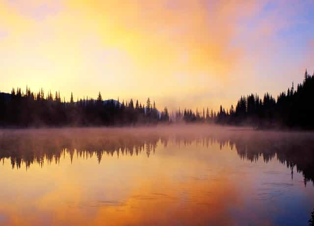 下乡社会实践目的