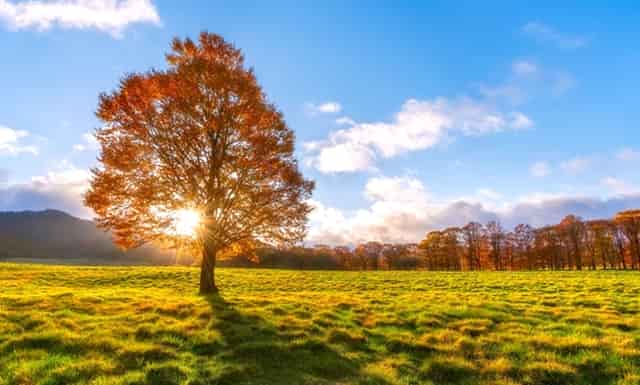 京剧《梦中的婚礼》在北京首映 向抗疫英雄致敬
