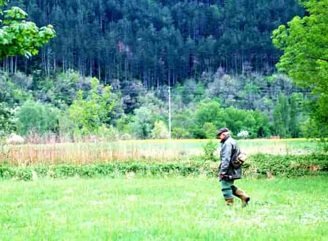 新能源汽车行业有限公司