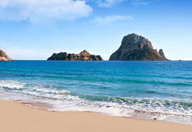 分析宠物销售市场，看袖虎如何养猫生财！