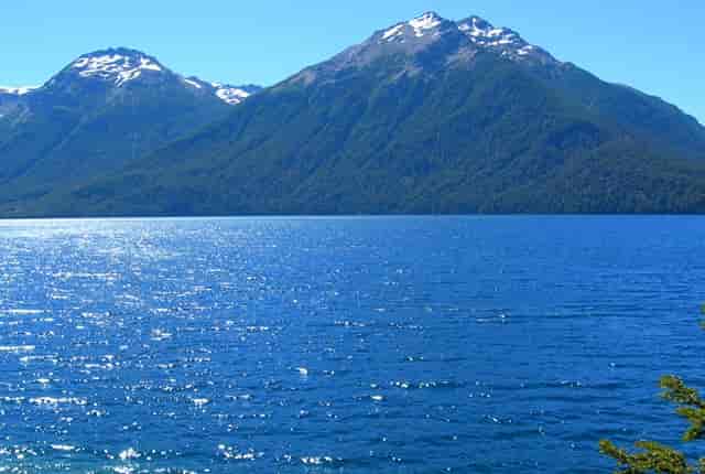 担心加盟宠物店无利可图？袖虎宠物告诉你行业真相!