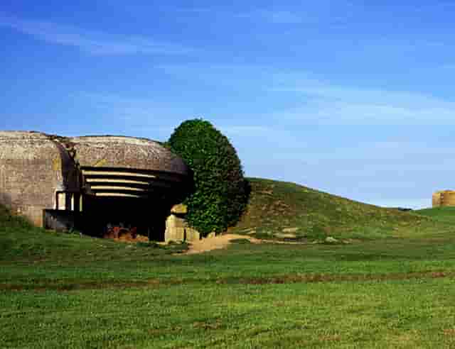 东京奥运会中国第12个金牌