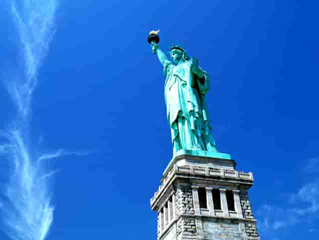 袖虎病猫攻略：对猫过敏怎么办