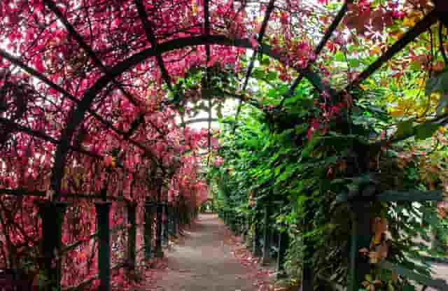 怎么考研研究生院校(专科考研二本院校研究生)