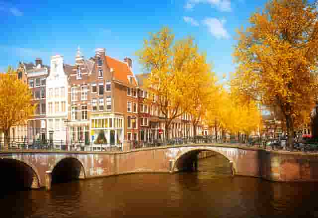 袖虎病猫攻略：猫猫上火那些事