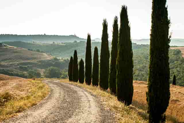 开宠物店需要多少钱？袖虎宠物低成本高收入！