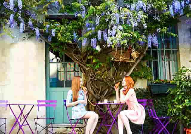 袖虎病猫攻略：用蚊香真的会死猫吗？