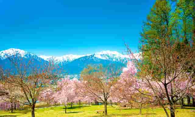 教师资格证没带学历证可以拿到吗(没有学历证可以考教师资格证么)