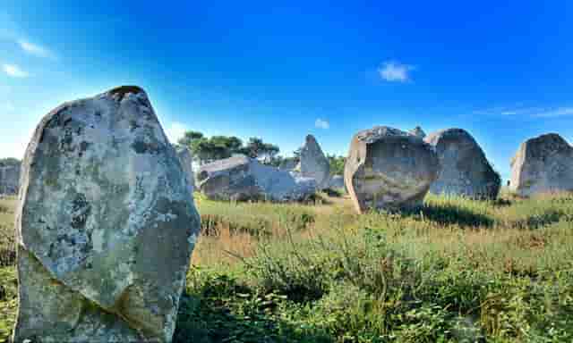 迈科期货亏损骗局？迈科教您如何截断亏损让利润奔跑！