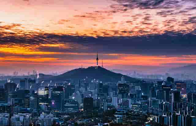 袖虎病猫攻略：猫咪被鱼刺卡住咋办