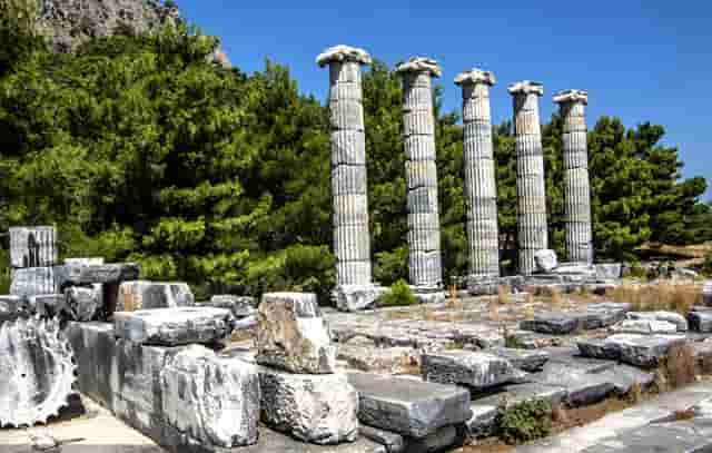 2021年春节大连景区(2021年春节西安景区会开放吗)