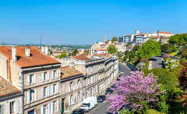 袖虎宠物商业调查：开宠物店如何采购活体资源