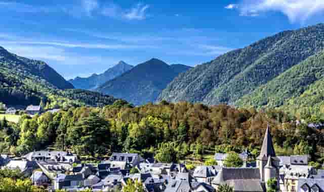 袖虎病狗攻略：狗得狂犬病五大症状，你都知道吗？