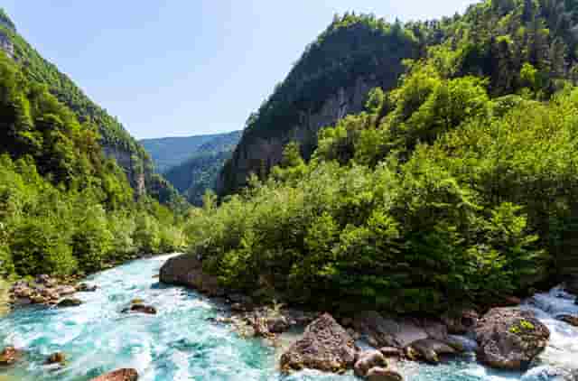 袖虎病猫攻略：猫指甲开裂可怕吗？别把自己吓到了