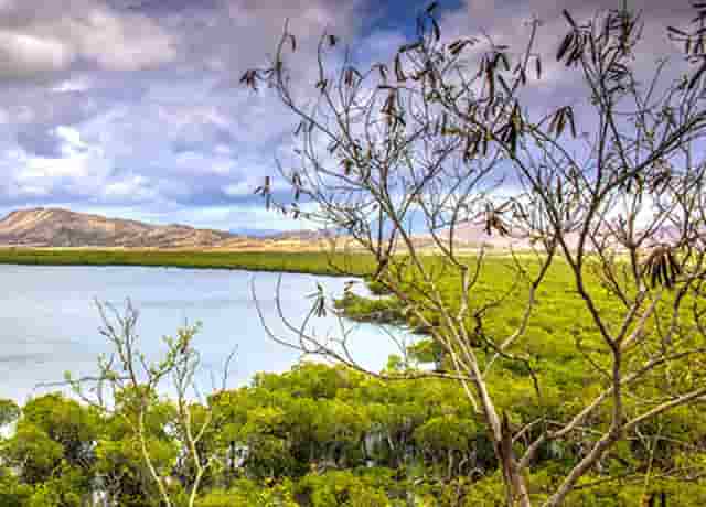 应届毕业生考省考公务员优势(2022应届毕业生考公务员时间)