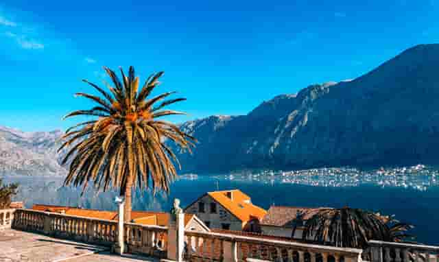 新发行加密​货币MCDEX