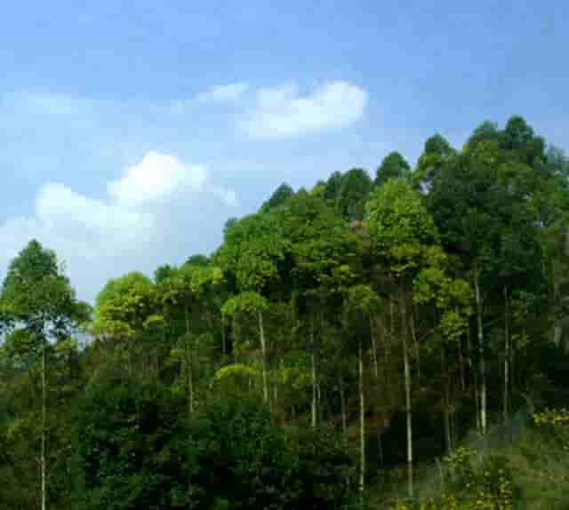 让孝成为时代之光  红星美凯龙首次“孝子日”设立，重新定义新时代的“孝”