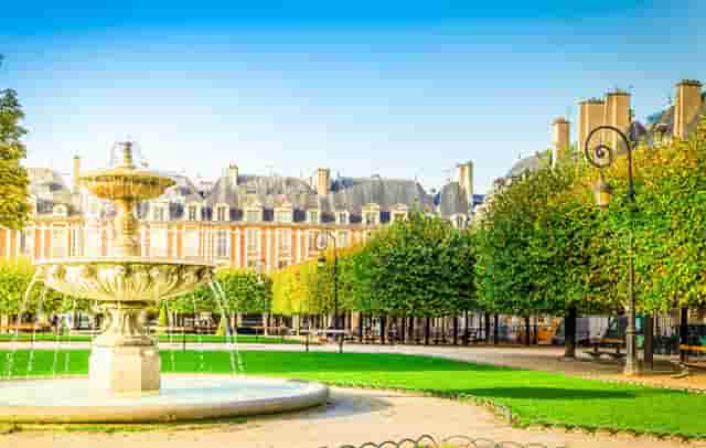 袖虎病猫攻略：猫氨的作用你知道多少？