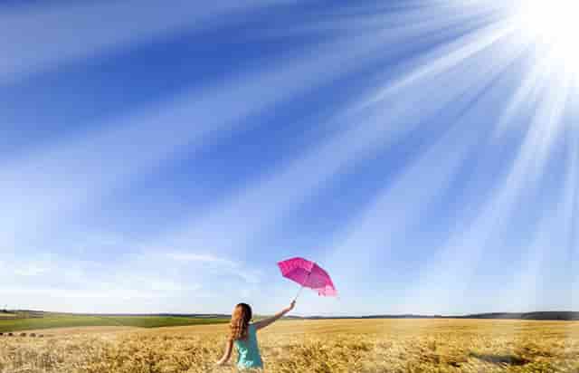 专升本有机会考哪些(大学专升本要考哪些科目)