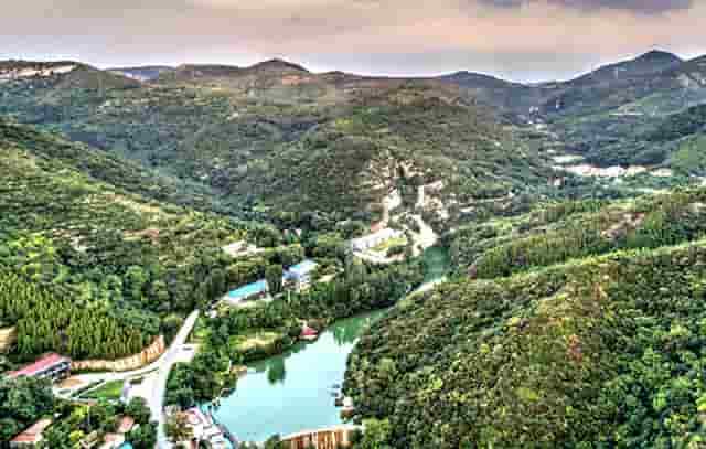 袖虎病狗攻略：遛狗的六大误区，看看你占了几条？