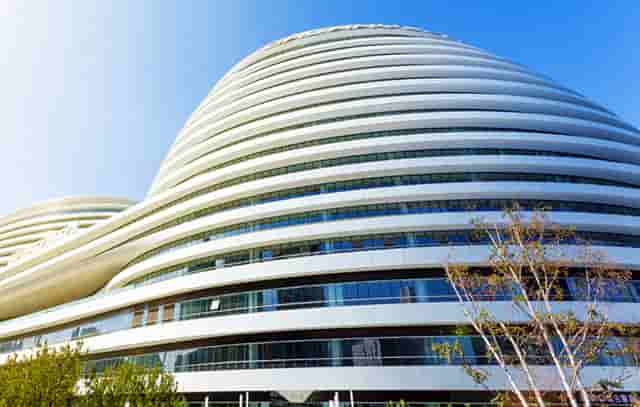 袖虎病狗攻略：可能不是所有人都知道，狗狗也有大姨妈