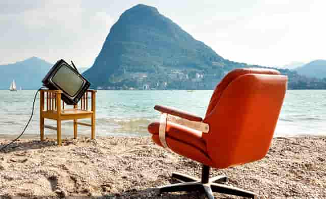 袖虎养宠秘笈：宠物喂养的十大误区