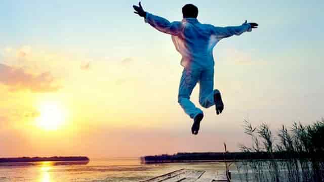 袖虎病猫攻略：猫细小的症状有哪些？