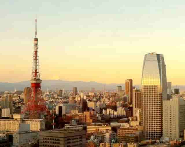 袖虎病狗攻略：幼犬要打哪些疫苗