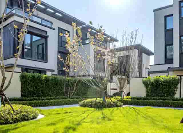 蔡嘉珍獲得註冊理財規劃師專業稱銜，秉持職業操守與執業準則，開啟財務規劃新征程