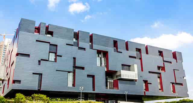 袖虎病猫攻略：猫咪的健康饮食推荐