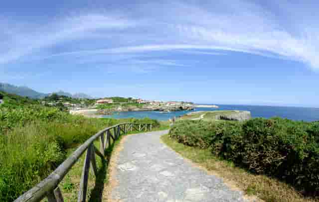 袖虎病狗攻略：为什么好好的小狗到家几天就S了？